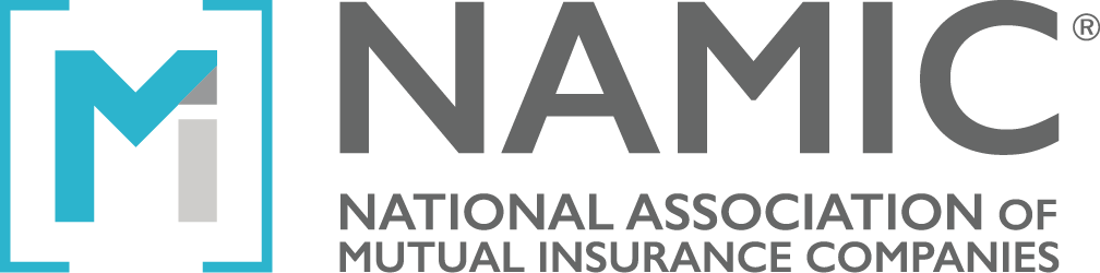 NAMIC logo